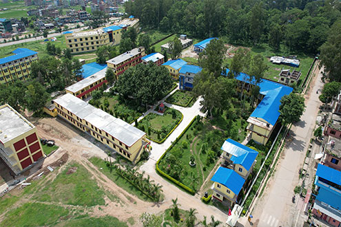 Humanities and Social Sciences